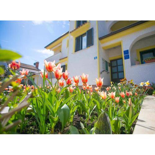 Apartments Matosevic