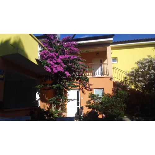 Apartments Midi