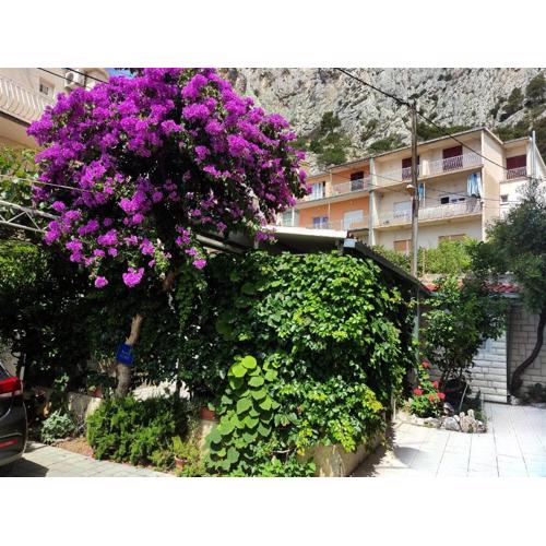 Apartments Mimi Omis