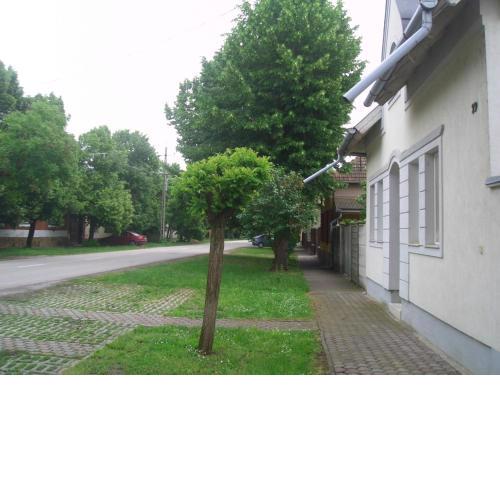 Apartments-Mini-Hotel