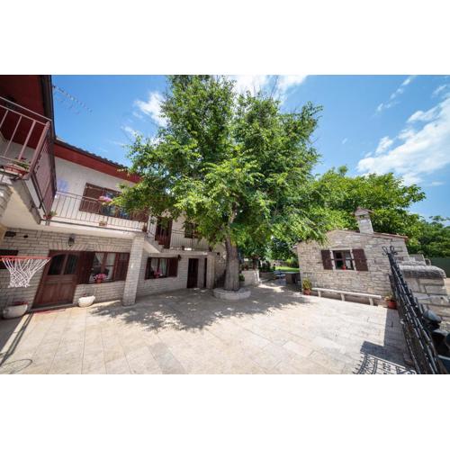 Apartments Mirjana 1655