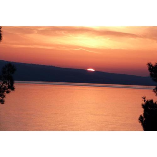 Apartments Nedo Dalmatia
