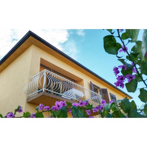 Apartments Nela