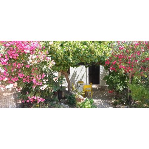 Apartments Oleander and Glicinija