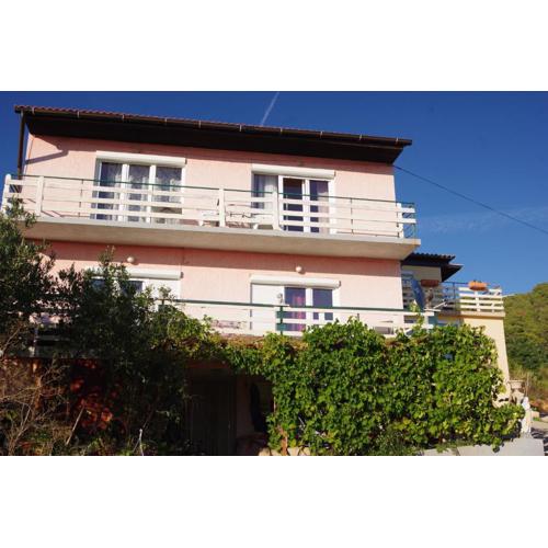 Apartments Opsenica Barbat