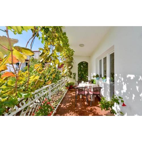 Apartments Paz