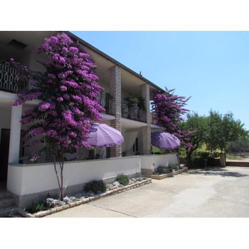Apartments Pipi