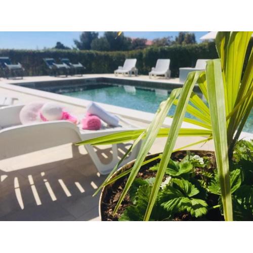 Apartments Pool