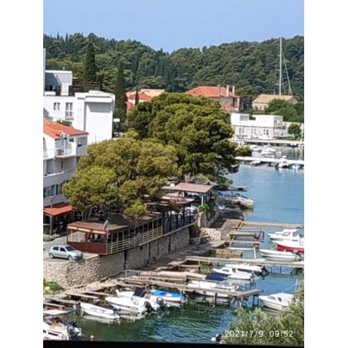 Apartments Raguz