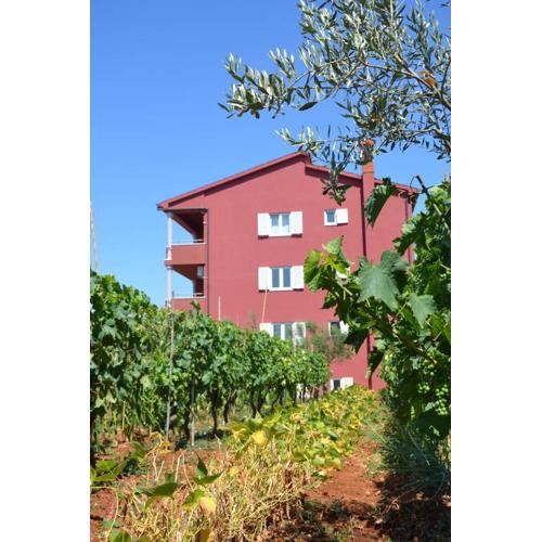 Apartments Roža