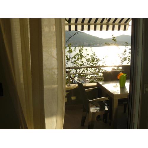 Apartments Selina