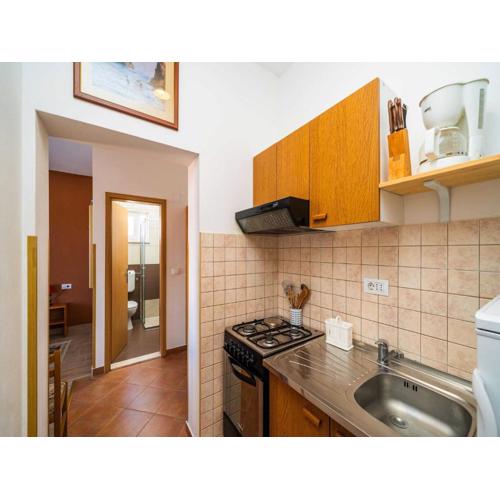Apartments Senjo - Studio Apartment with Balcony and Sea View Apartman 2