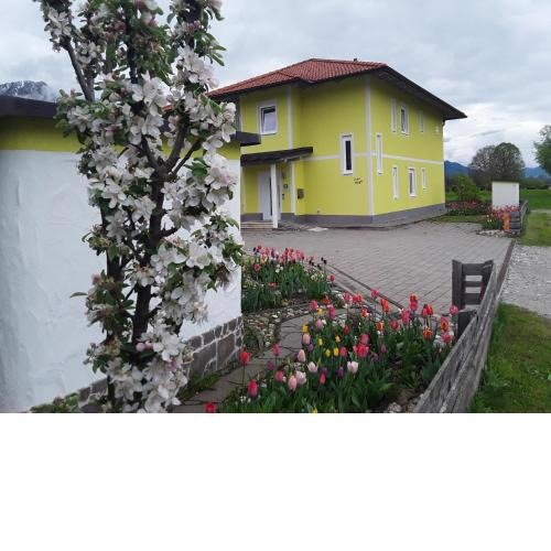 Apartments Steger