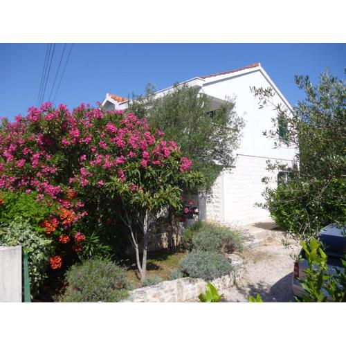 Apartments Suzana