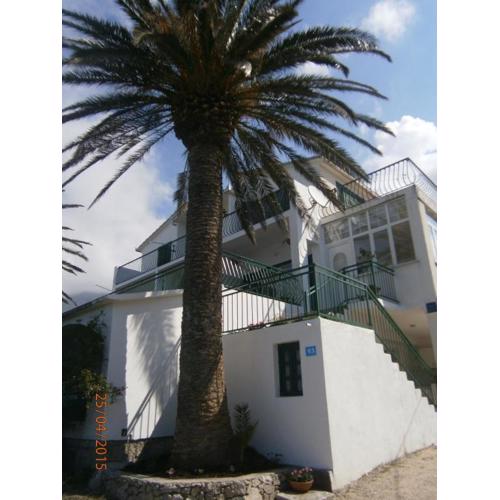 Apartments Tri Palme