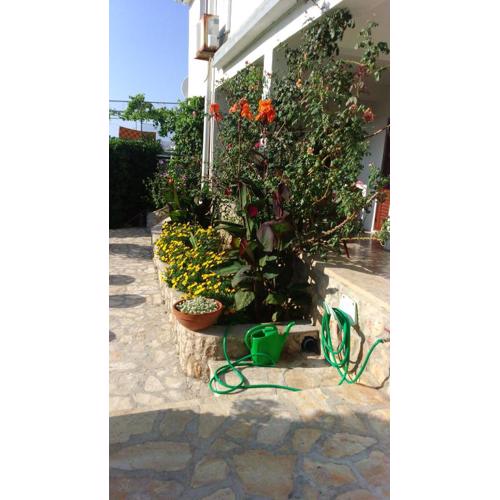 Apartments VESNA