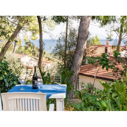 Apartments Villa Pelegrin