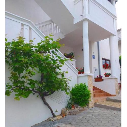 Apartments Villaarta Murter