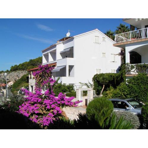 Apartments Viskovic Margita