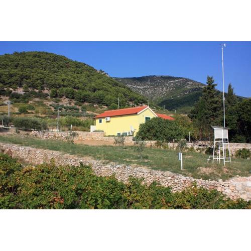 Apartments with a parking space Bol, Brac - 5642