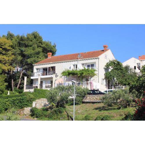 Apartments with a parking space Cavtat, Dubrovnik - 9041