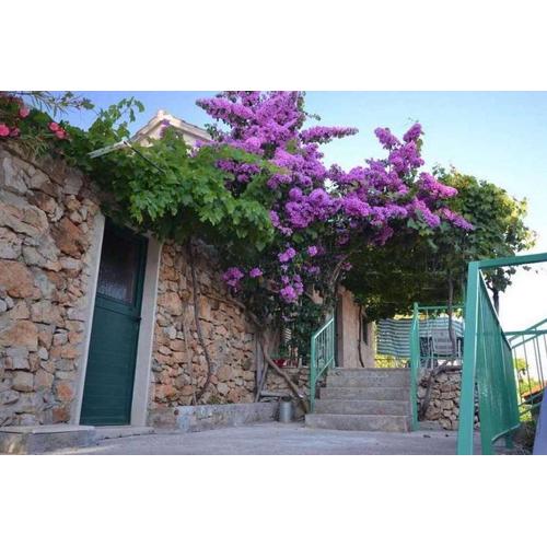 Apartments with a parking space Murvica, Brac - 23462