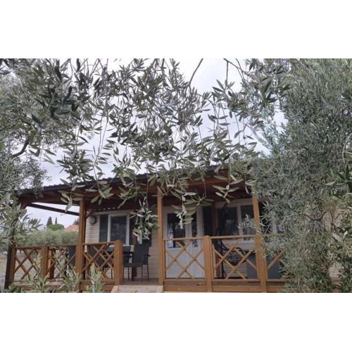 Apartments with a parking space Pakostane, Biograd - 23865