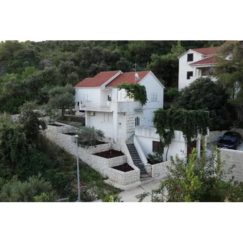 Apartments with a parking space Postira, Brac - 22664