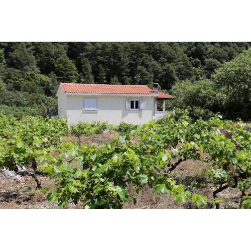 Apartments with a parking space Trstenik, Peljesac - 10109