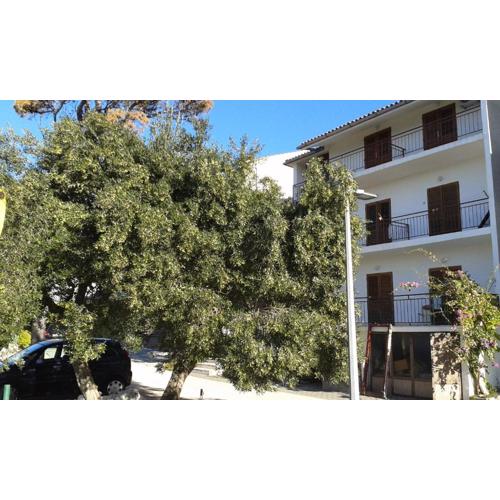 Apartments with parking spaces Brela, Makarska - 20007