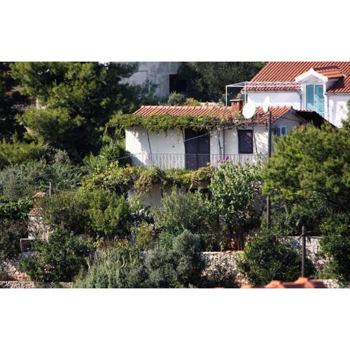 Apartments with parking spaces Maslinica, Solta - 5176