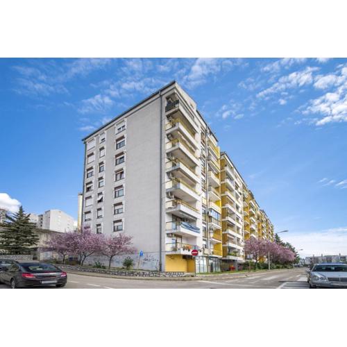 Apartments with WiFi Rijeka - 17629