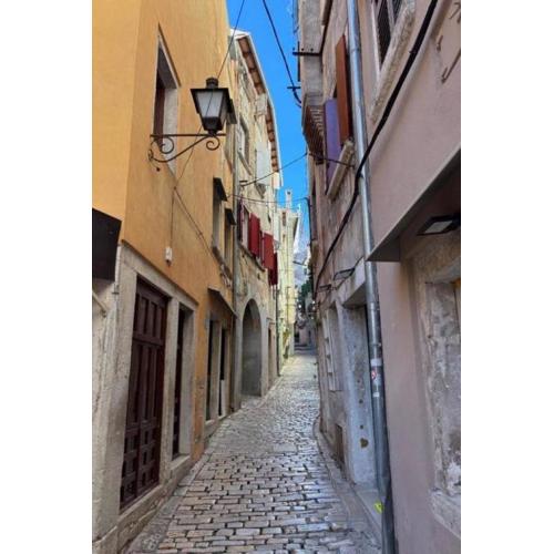 Apartments with WiFi Rovinj - 24258