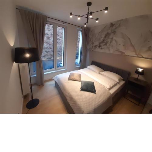 Apollo Apartments Prochowa 6