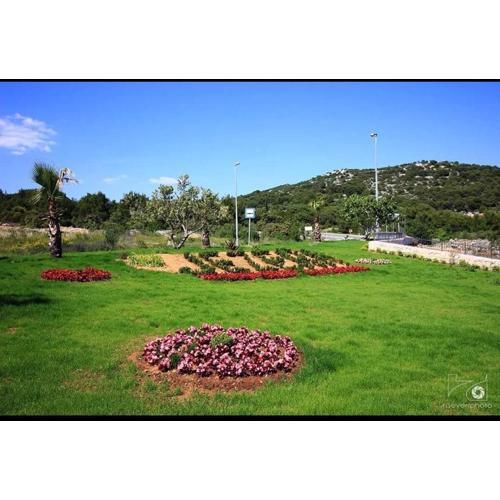 App Oliva