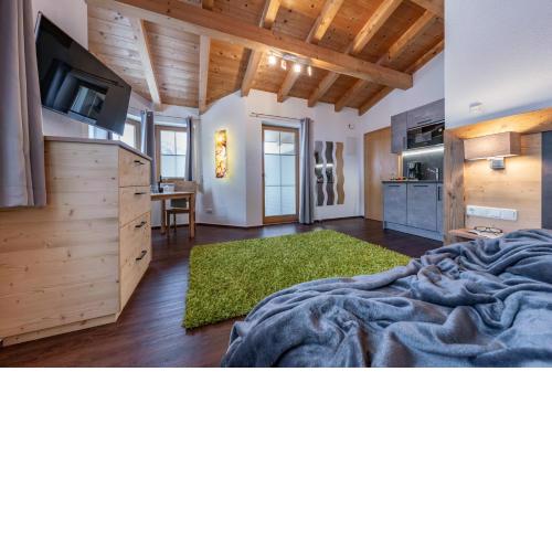Appartement Ahornblick im Ferienhaus Johanna in Hippach-Mayrhofen - Nähe Skipiste