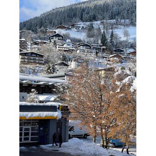 Appartement Berger