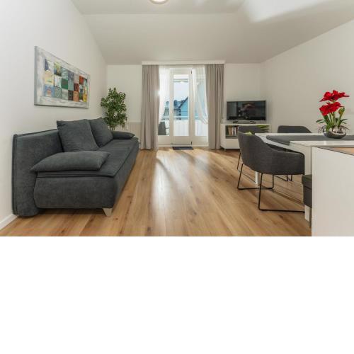 Appartement Dachsteingasse by Schladming-Appartements