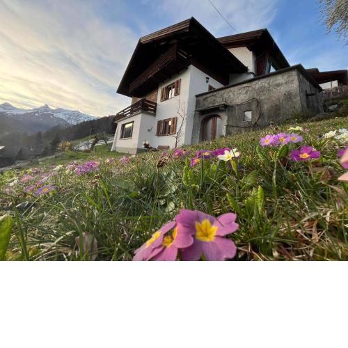 Appartement Haus Honold