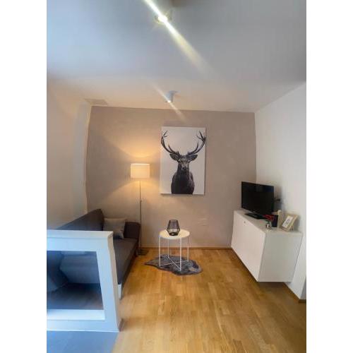 Appartement in Graz-Geidorf