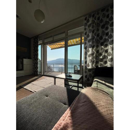 Appartement mit Seeblick & Seezugang