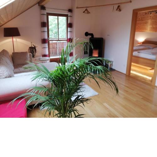 Appartement Moni / Golf & Ski - TOP 9