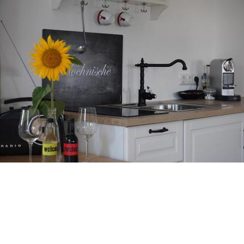 Appartement Traunseeferien