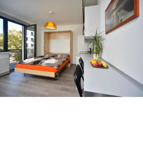 Appartment Waltrovka, free parking