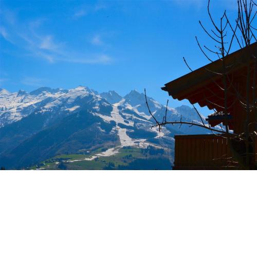 APT Mountain View by - Alpen Apartments