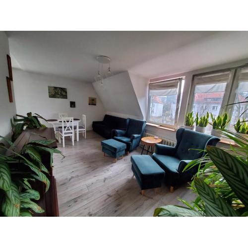 Apt Tęczowy widok