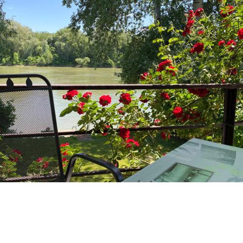 Aqua Bella Apartman