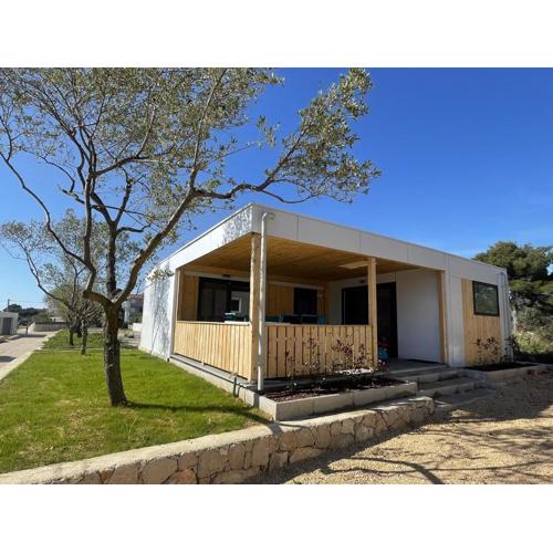 Arabela Lux Villa