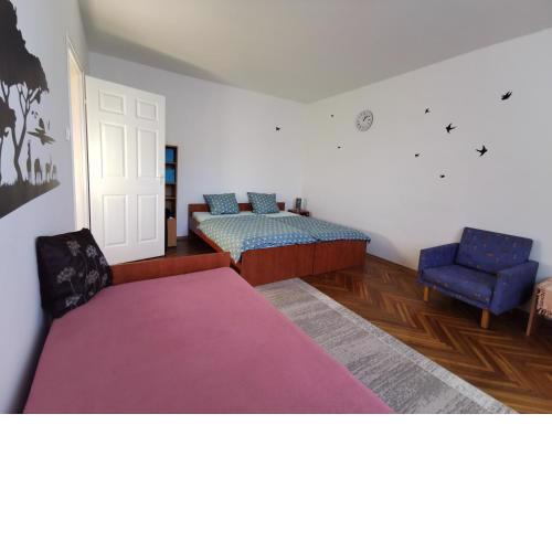Arena Apartment