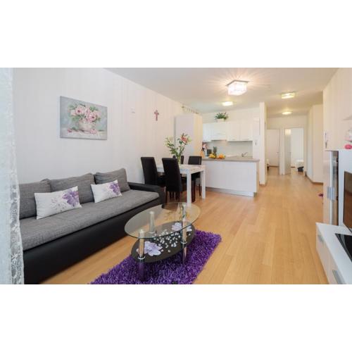 ARIJANA APARTMAN free private garage